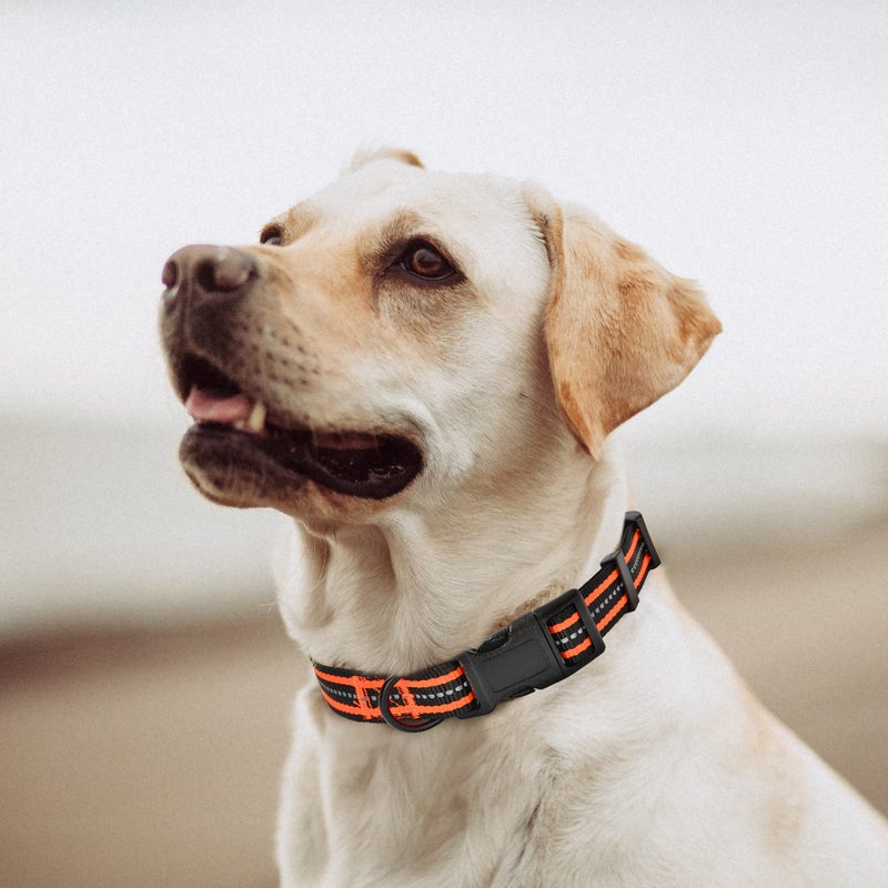 Mile High Life Reflective Dog Collar | Nylon Pet Collars wiith Buckle | Light Weight Puppy Collars | Orange Dog Collars for Large Dogs (Orange, L) - Image 2
